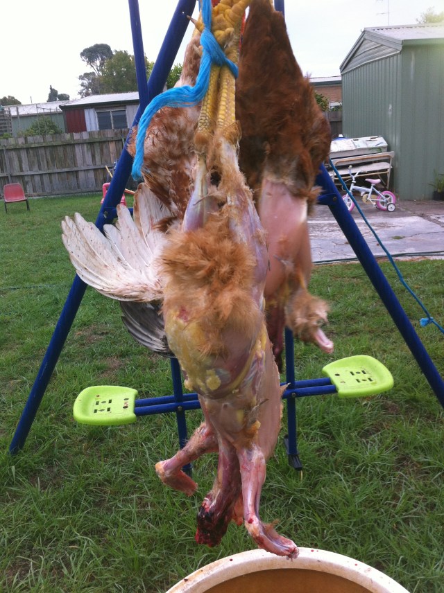 De skinning roosters