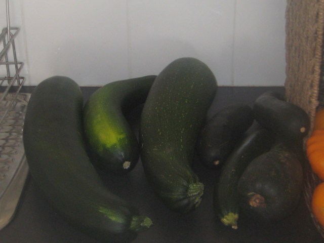 Zuchini monsters