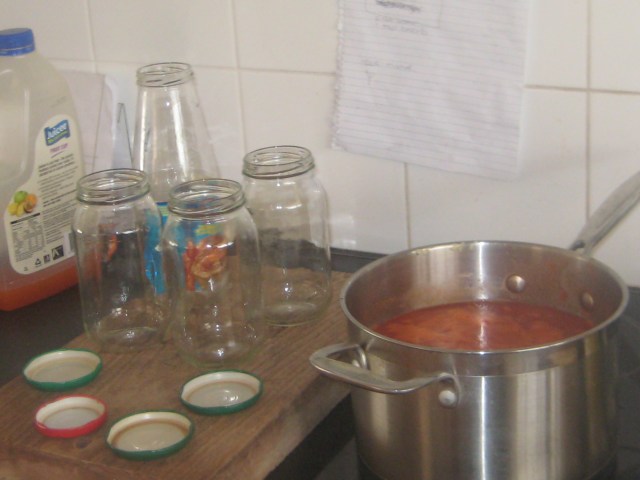 getting ready to preserve tomatos