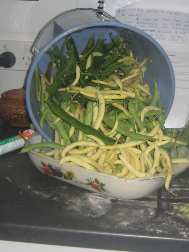 beans- green, butter and seven year