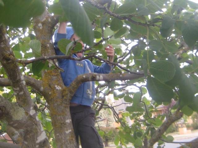 even the 3 year old can get involved