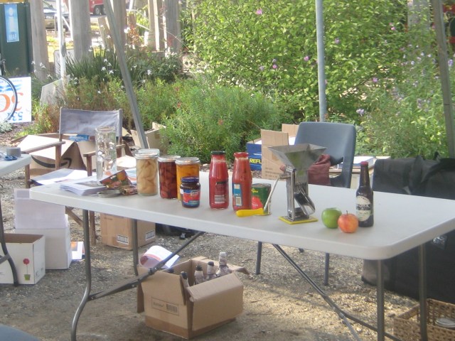 My stall- ready for my talk