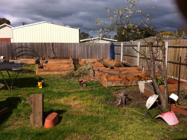 from wood to sustaining life- a short journey