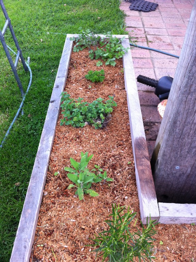 Herb Garden