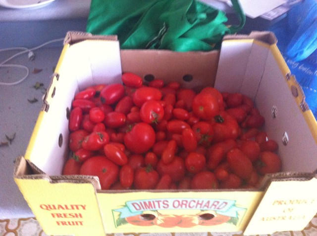 a box full of tommies - ripening in a dark cupboard