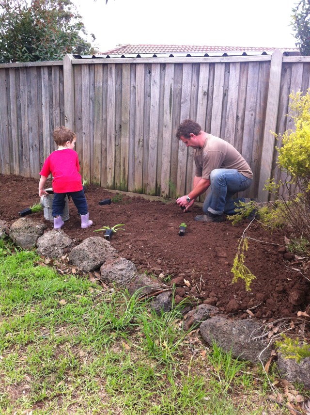 planting some natives out the front