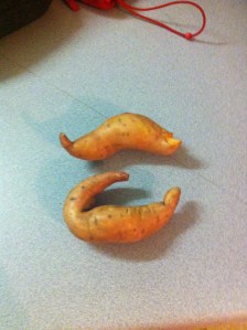My first Sweet Potatos