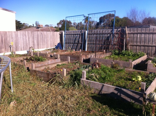 New start- empty beds