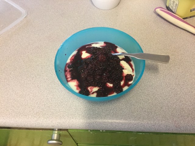 Vanilla Yoghurt with Blackberries
